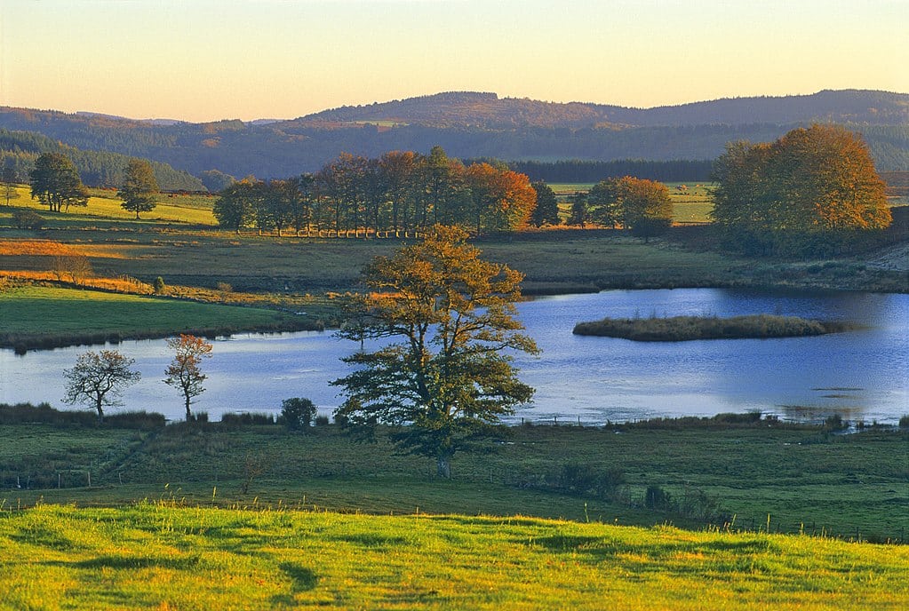 Pourquoi vous devez visiter le plateau de Millevaches