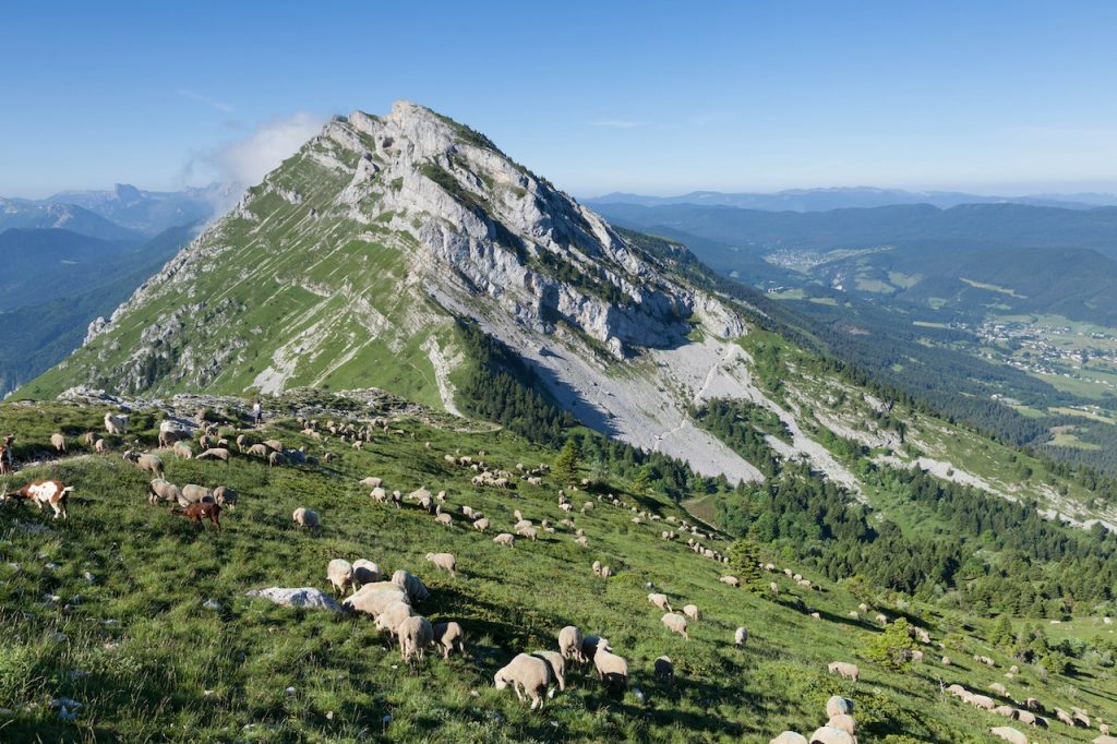 auvergne